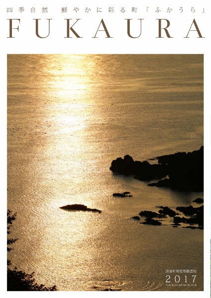 町勢要覧概要版2017