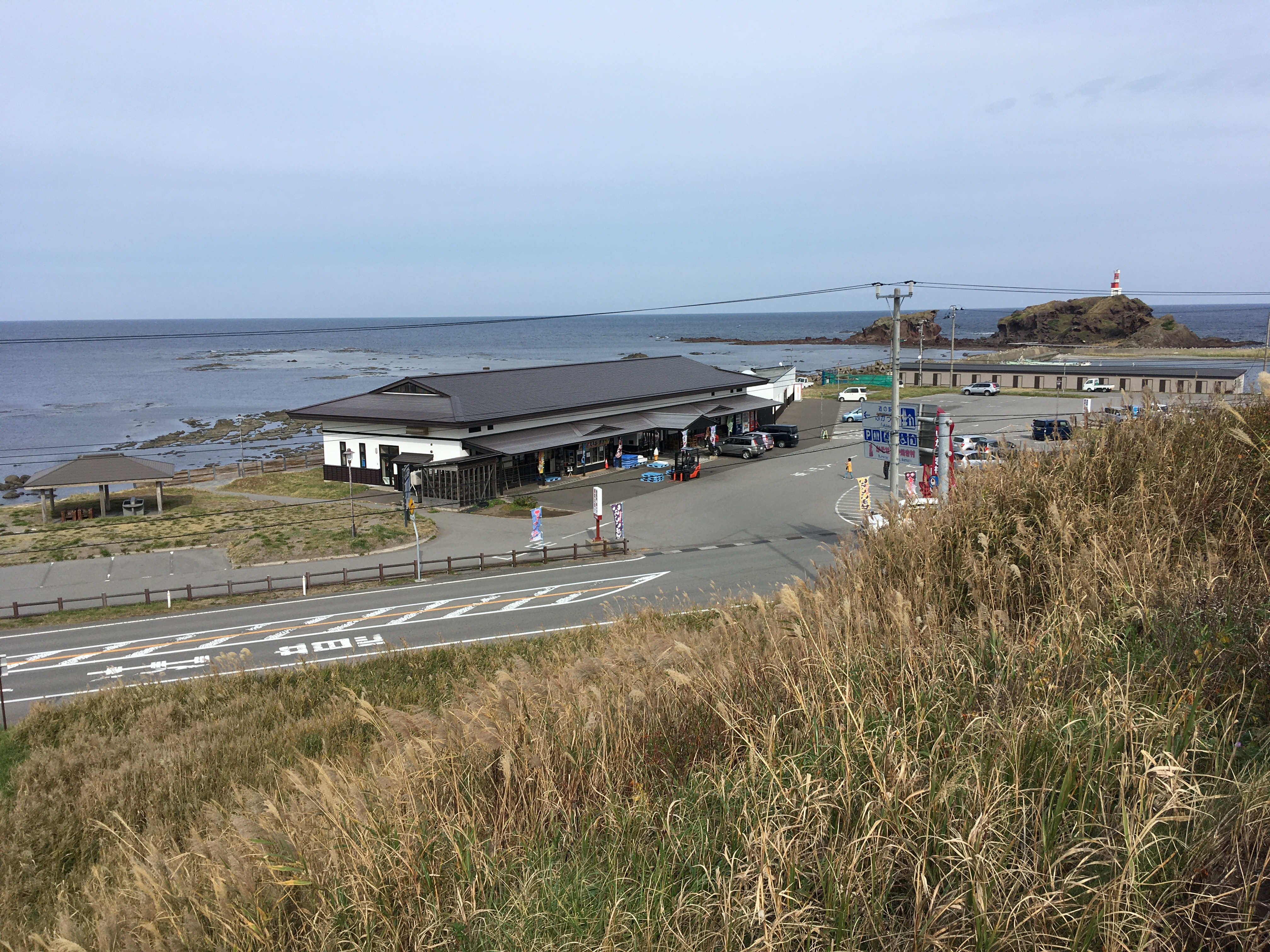 IMG_2653 施設全景2