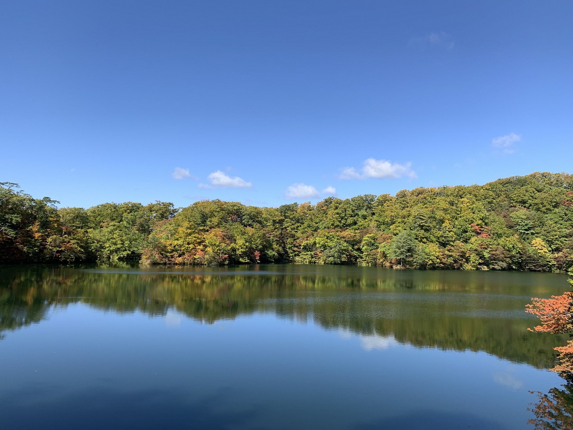 写真・取材依頼に提供した写真(十二湖・王池