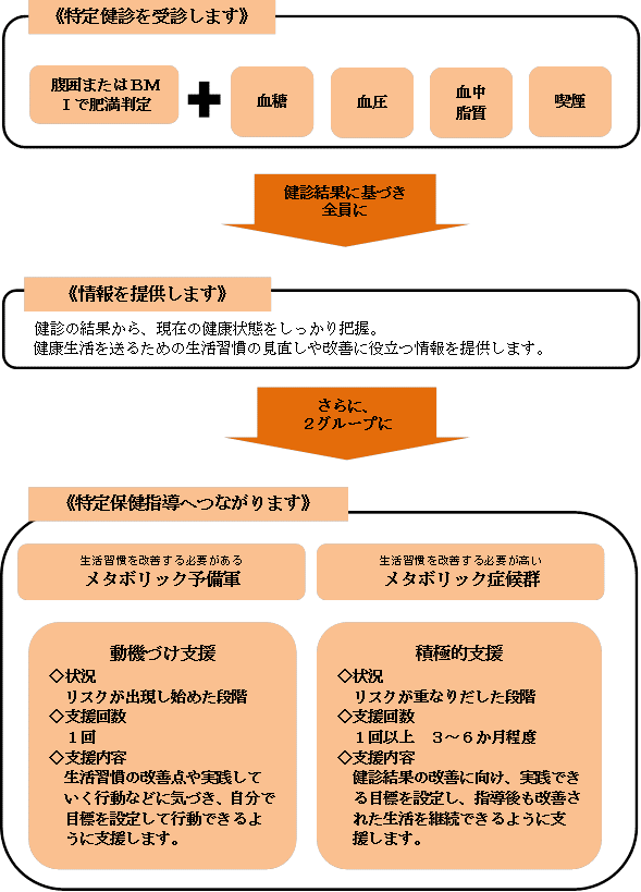 特定保健指導までの流れについての説明図